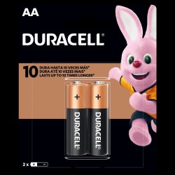 Pilha 1.5V AA Alcalina 15x50mm Duracell C/2