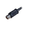 Jack RCA preto femea rabicho