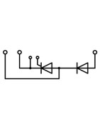 Módulo Tiristor(SCR).